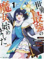 导演帧率偏好幕后解析